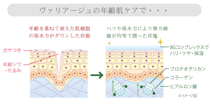 @A[W gCAZbg ʔ